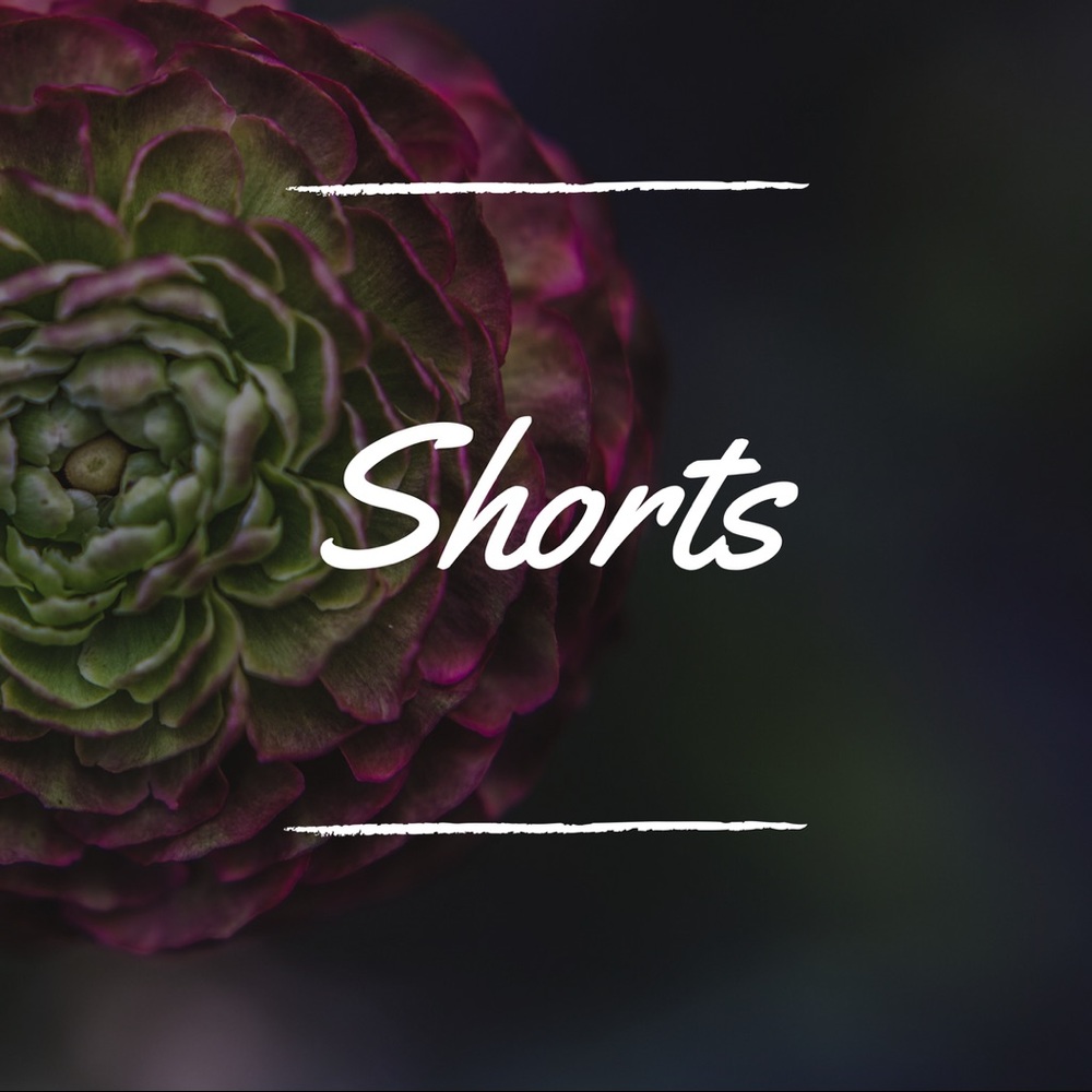 •Shorts Below•